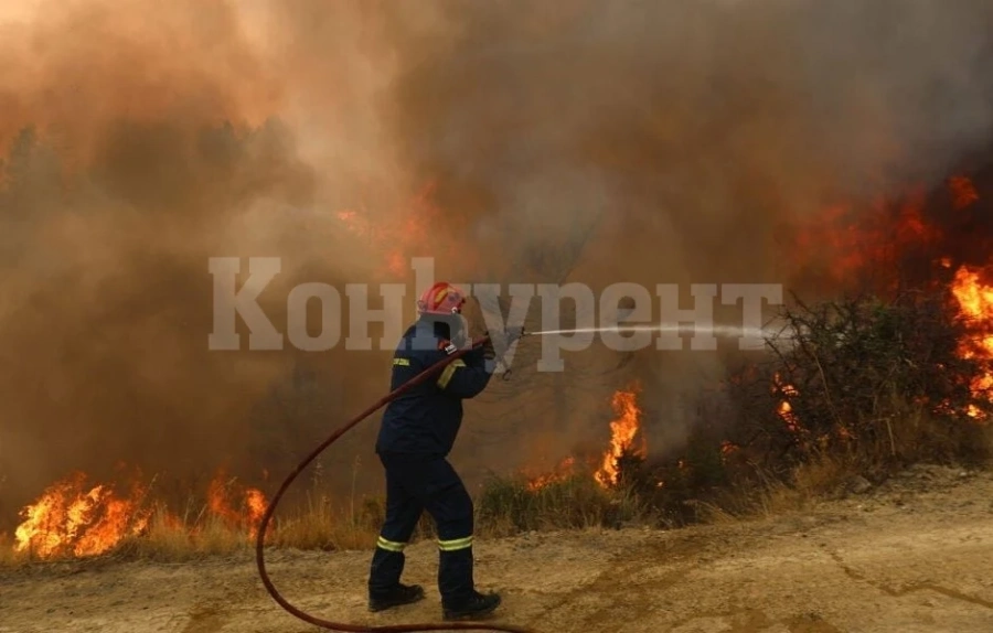 Пожар погълна 19 къщи, кравеферма и старо училище в Дъбова махала, пострадали хора няма
