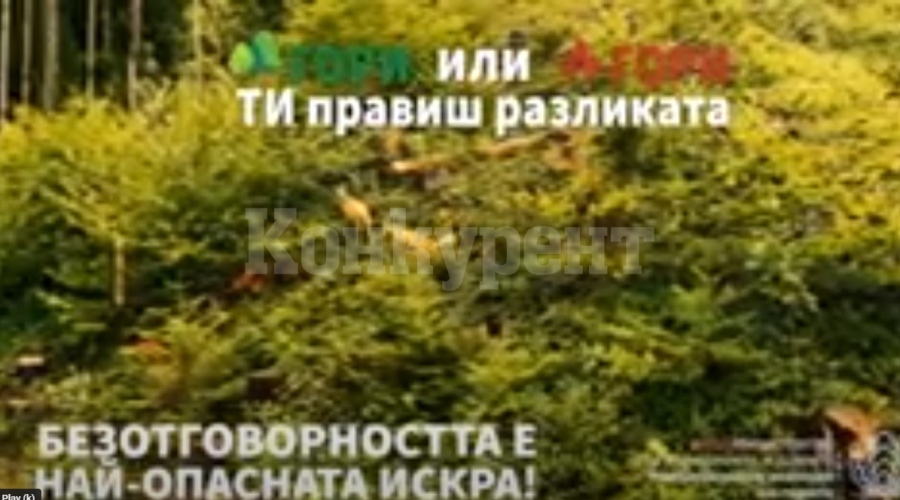 Споделете послание и спечелете еднодневна екскурзия в Природен парк \
