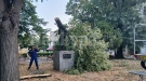 Клон падна върху паметника на Иван Срацимир във Видин
