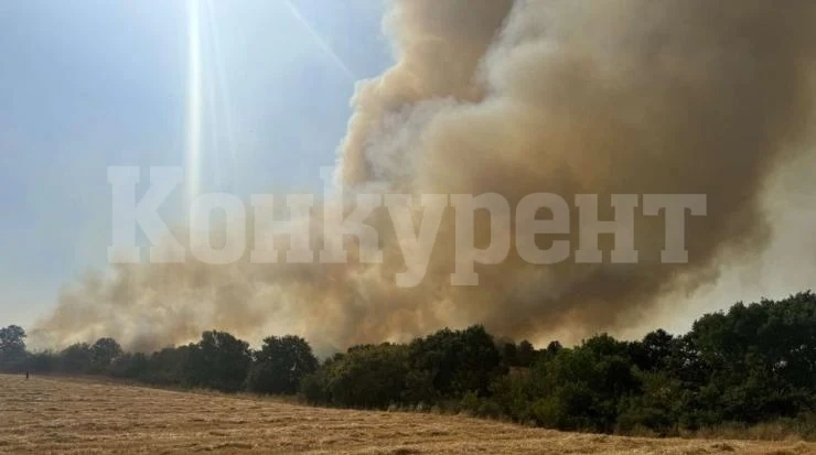 Джартов: Всички тежки пожари в страната са локализирани, огънят в Пирин е овладян