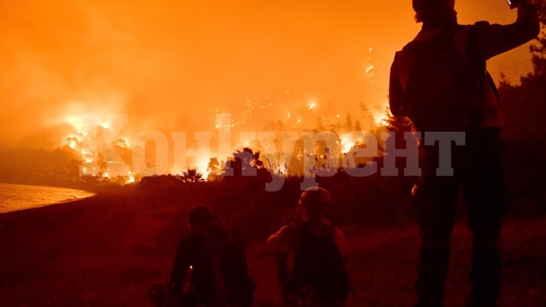 Голям пожар вилня край Студено буче, гасили го  пожарникари, горски и земеделци