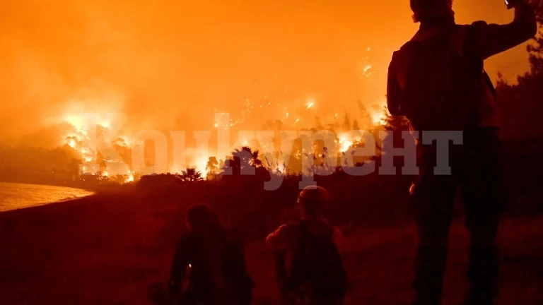 Голям пожар вилня край Студено буче, гасили го пожарникари, горски и земеделци