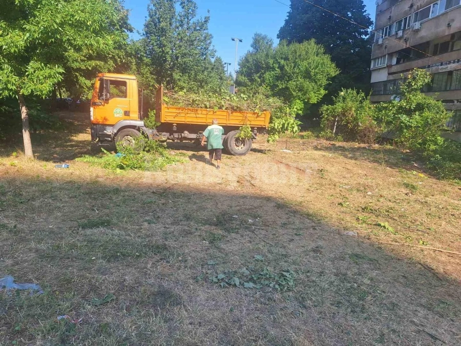 Продължава почистването на междублоковите пространства във Враца