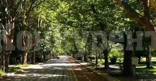 30% ръст на туристите във Вършец – курортният град оживява с нови атракции