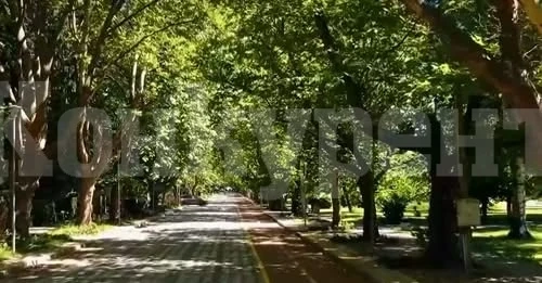 30% ръст на туристите във Вършец – курортният град оживява с нови атракции
