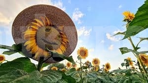 Очаква ни повишение на температурите