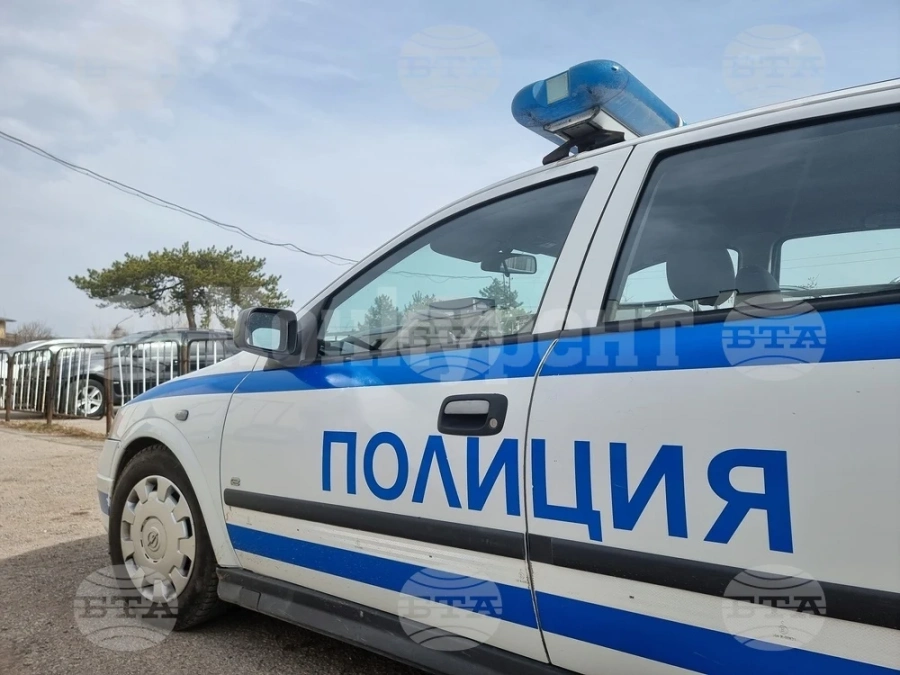 Полицията разкри насаждения от канабис в берковското село Балювица