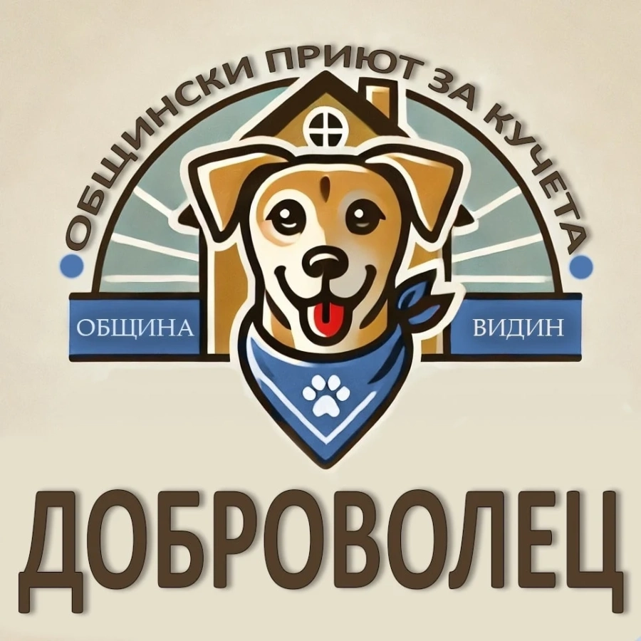 Приютът за кучета във Видин търси доброволци