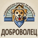 Приютът за кучета във Видин търси доброволци