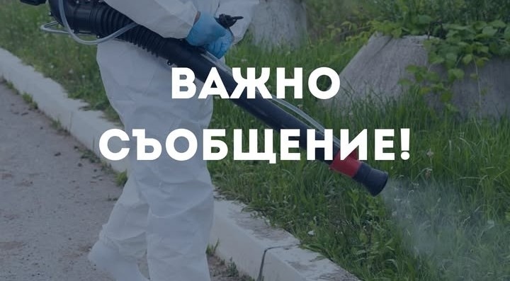 Тази нощ пръскат Вършец срещу кърлежи и бълхи