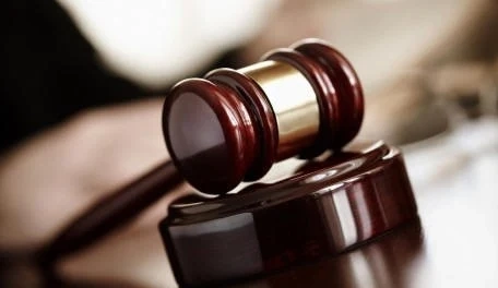 Във Видин разследват осем души – българи, румънци, турци, словак и украинец за трафик на мигранти