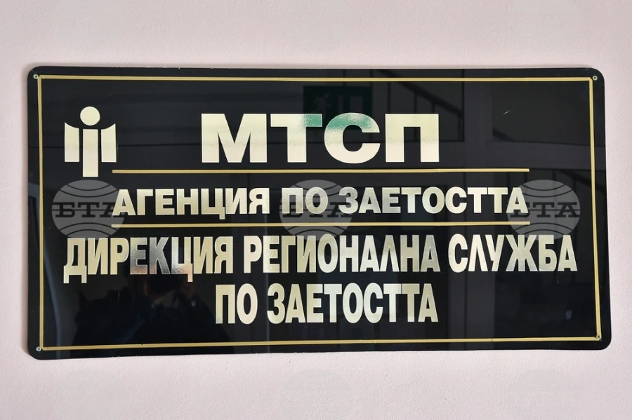 Лекари и учители са най - търсените специалисти в област Монтана, четири фирми са обявили свободни места за инженери