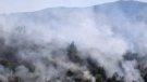 Голям пожар бушува край Хасково, обявиха частично бедствено положение