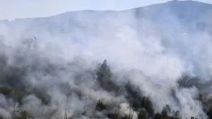 Голям пожар бушува край Хасково, обявиха частично бедствено положение