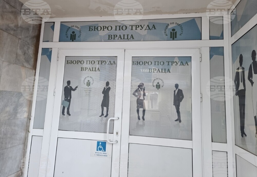 Икономистите са най-търсените на пазара на труда във Враца тази седмица