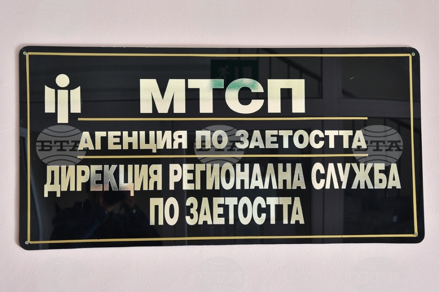 В Бюрото по труда в Монтана са обявени 28 места за висококвалифицирани специалисти