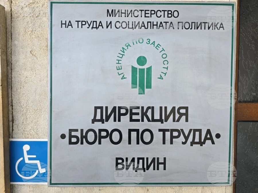 Технически ръководител в сферата на строителството, инженер и екскурзовод са сред трайно търсените кадри във Видинско