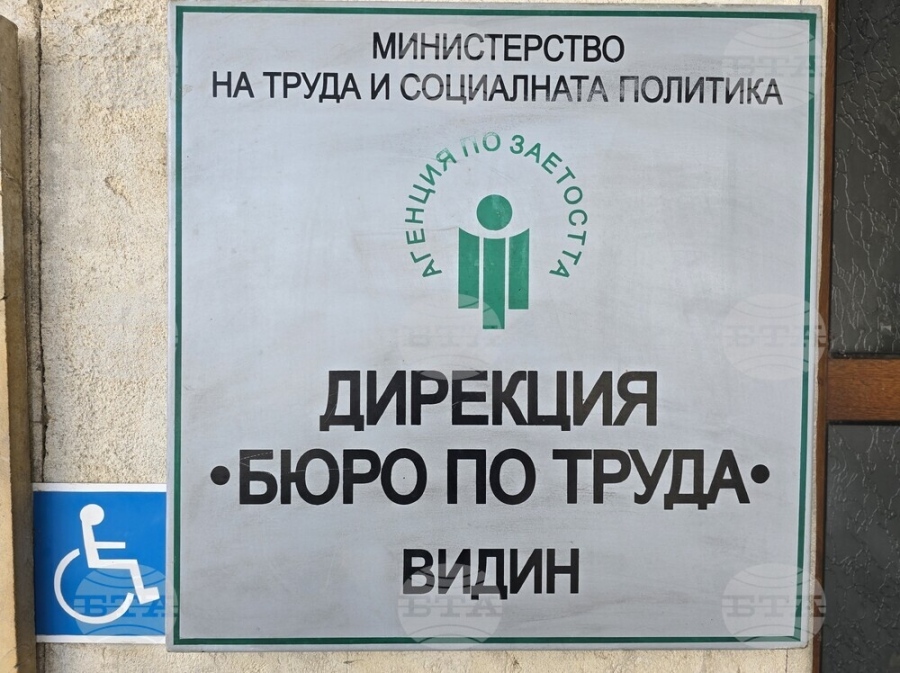 Технически ръководител в сферата на строителството, инженер и екскурзовод са сред трайно търсените кадри във Видинско
