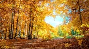 Вижте какво ще е времето днес