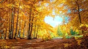 Вижте какво ще е времето днес