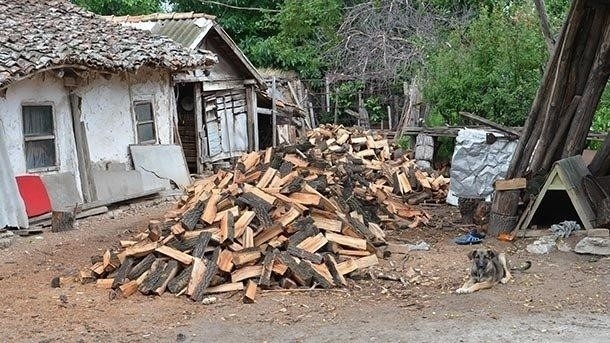 Прибраха 36 кубика незаконни дърва