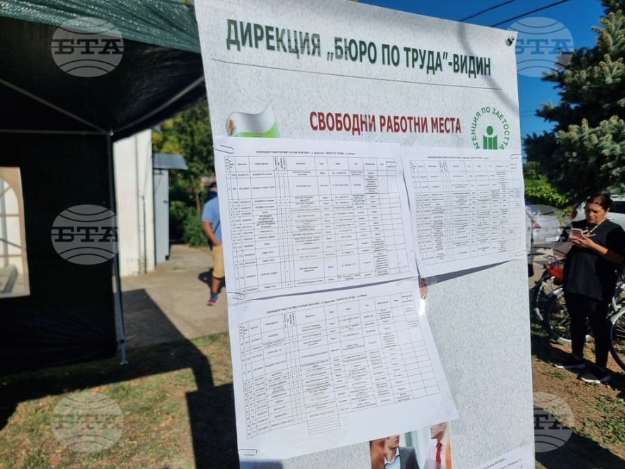 Общо шест свободни работни места за застрахователен агент са обявени във Видин