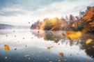 Вижте какво ще е времето днес