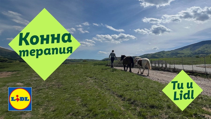 История за надежда: конете, които помагат на деца със специални потребности