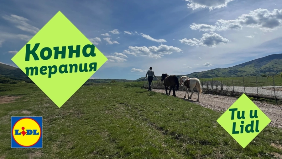 История за надежда: конете, които помагат на деца със специални потребности