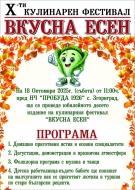 X-ти юбилеен фестивал \