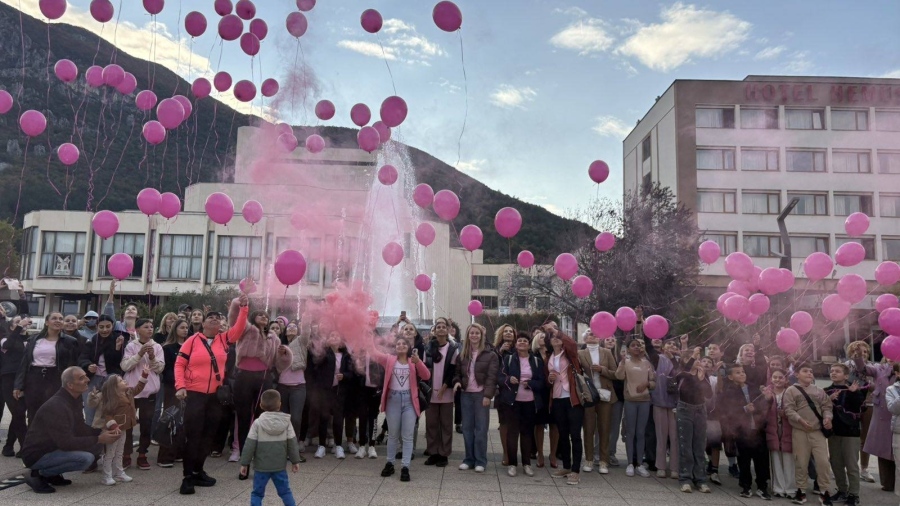Розови балони за надежда полетяха в небето над Враца