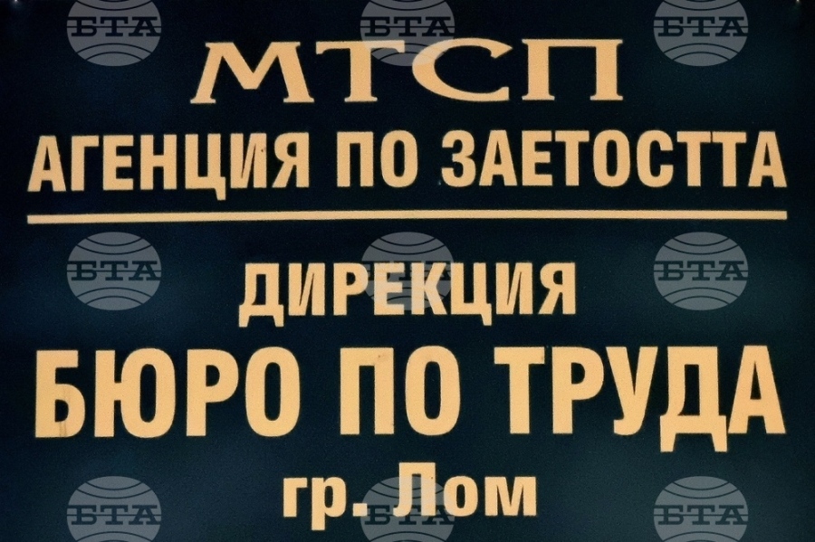 Едно свободно работно място за висококвалифициран специалист е обявено в Бюрото по труда в Лом