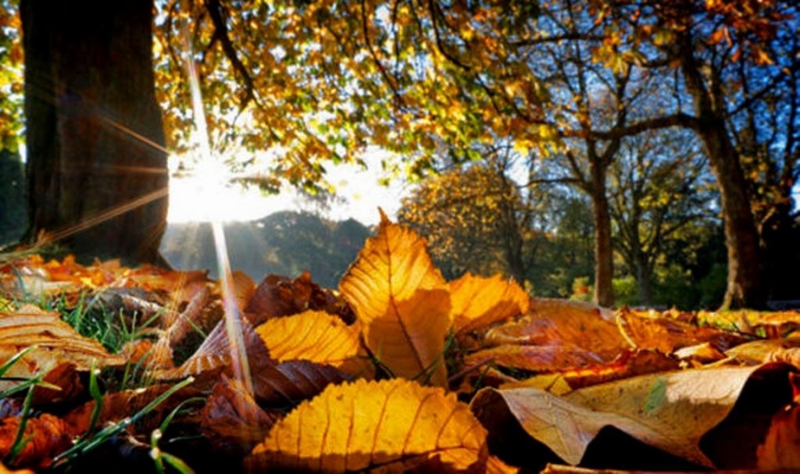 Очаква ни слънчев понеделник