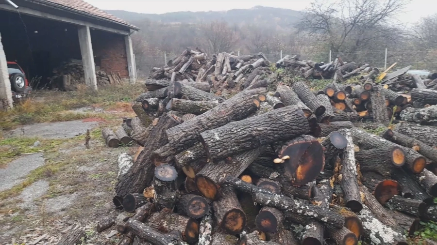 Продължават хайките за незаконни дърва