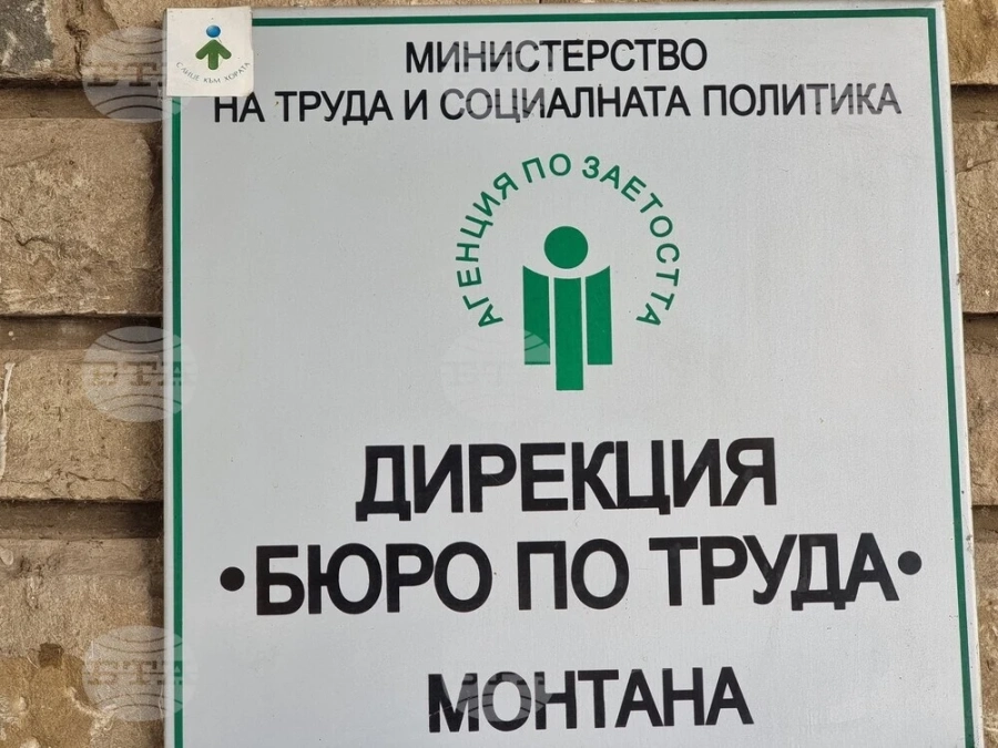 В Бюрото по труда в Монтана са обявени 17 свободни работни места за висококвалифицирани специалисти