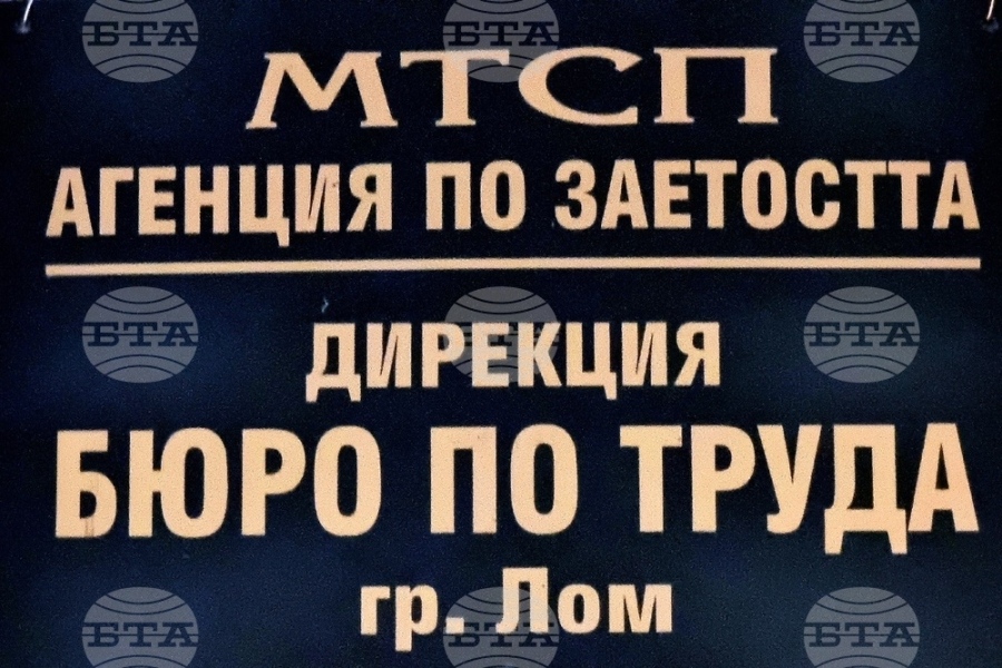 Три свободни работни места за висококвалифицирани специалисти са обявени в Бюрото по труда в Лом
