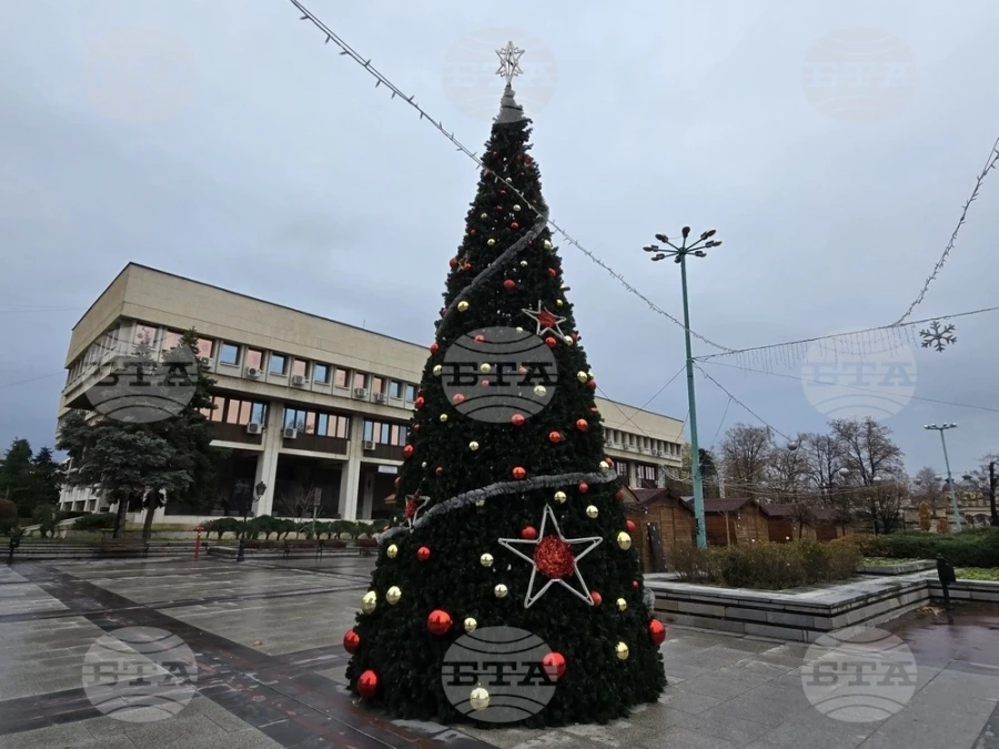 Грейват светлините на коледната елха във Видин