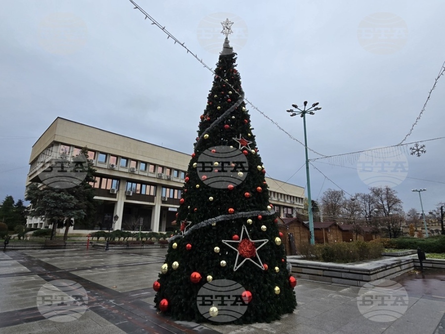 Грейват светлините на коледната елха във Видин