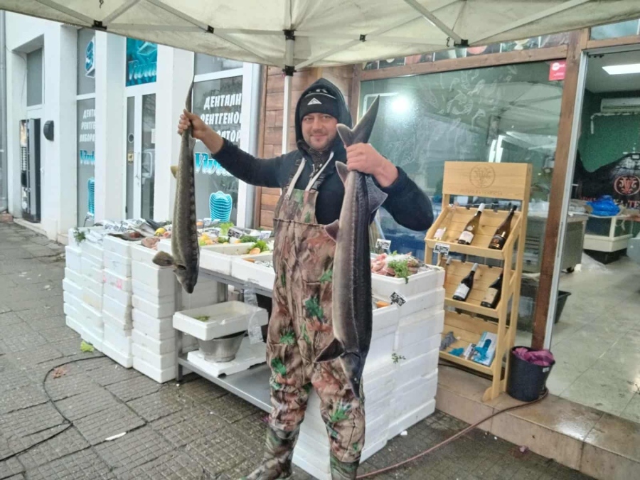 Засилиха проверките на рибните пазари преди Никулден