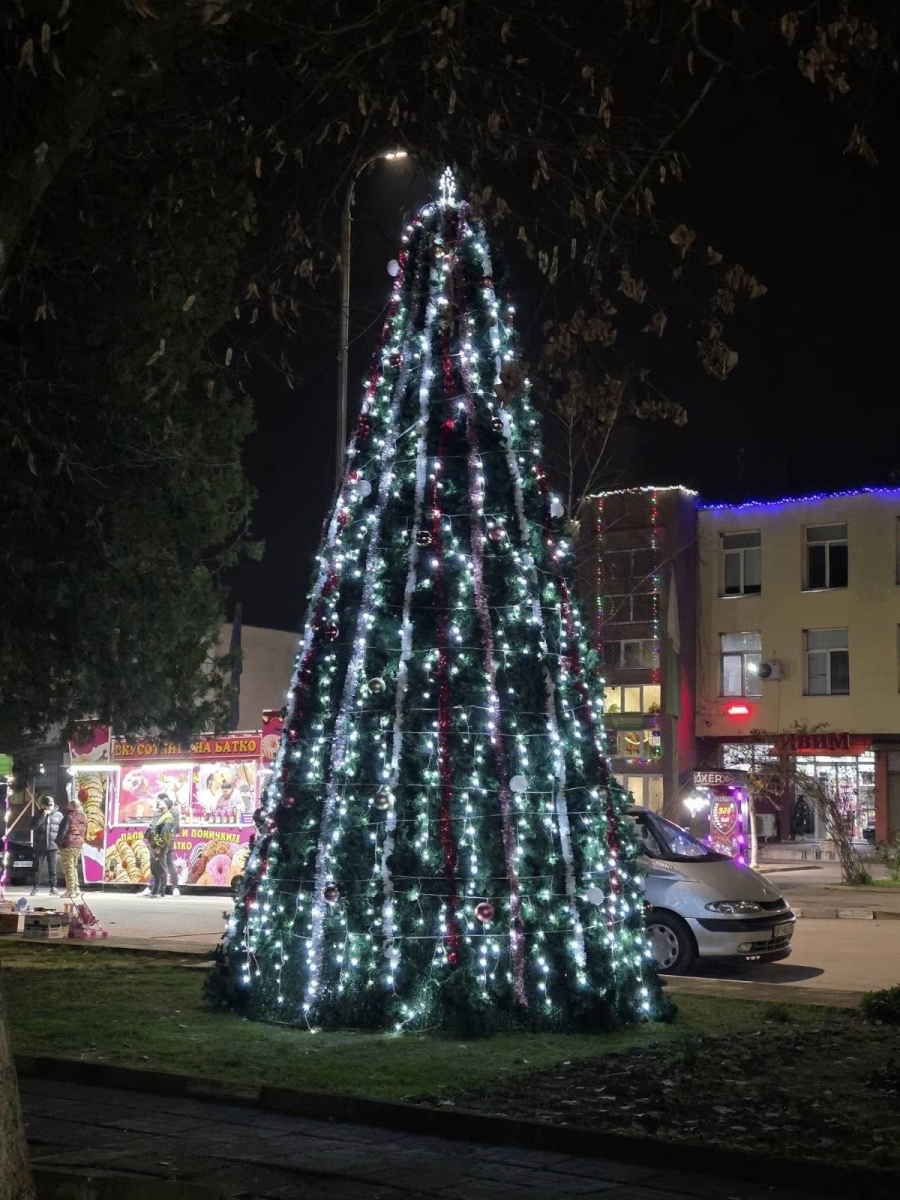 Светна коледната елха в Хърлец