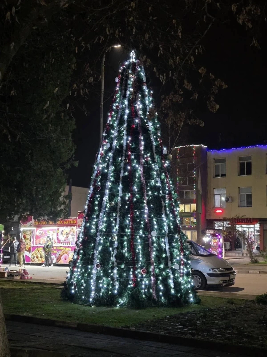 Светна коледната елха в Хърлец