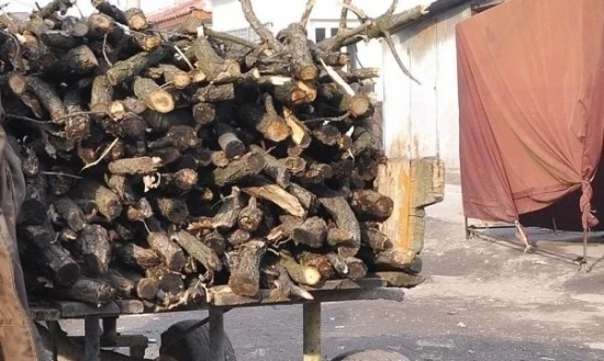 Продължават хайките за бракоиерски дърва