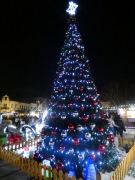 Грейна Коледната елха в Лом