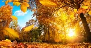 Денят започва с мъгла, температурите ще са до 15°