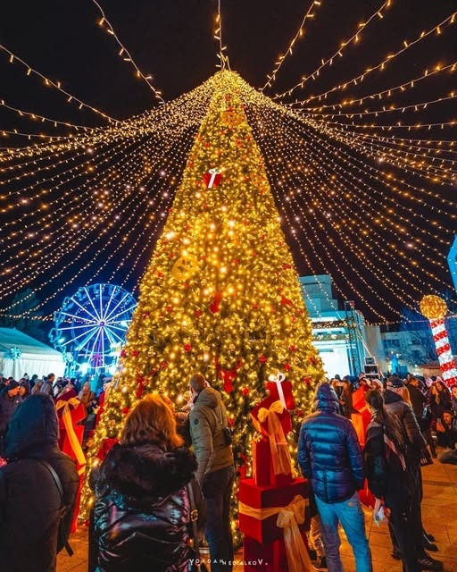 Феновете на Ботев ще гледат мача за Купата на България на голям екран на площад „Христо Ботев“