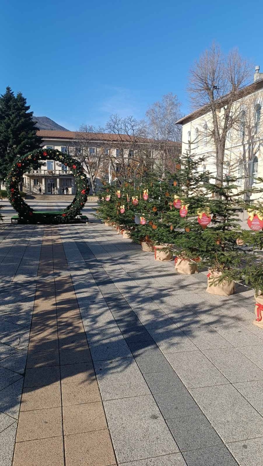 Училищата номинираха своите представители в инициативата „Да си знаещ е модерно! Жива елха за любознателни деца“