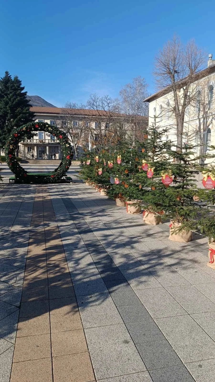 Училищата номинираха своите представители в инициативата „Да си знаещ е модерно! Жива елха за любознателни деца“