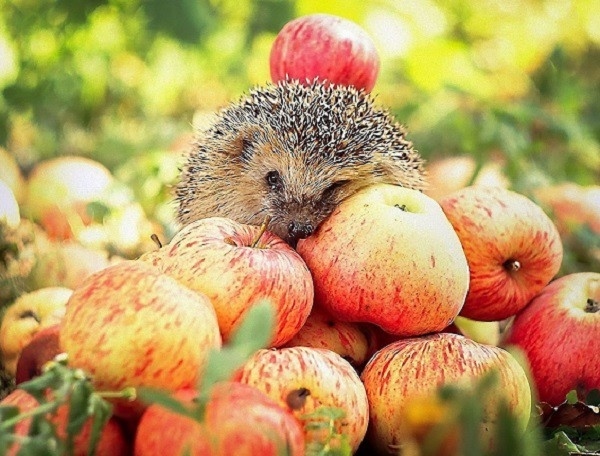 Вижте какво време ни очаква в сряда
