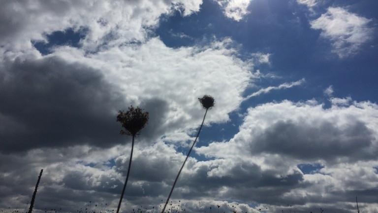 Времето в неделя предимно облачно