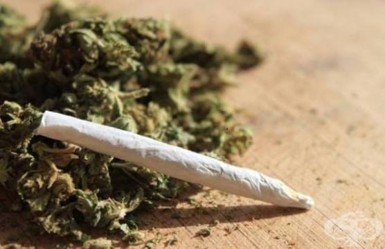 Пипнаха младежи във Вършец с чай за пушене